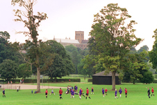 Verulamium park with cathedral in background