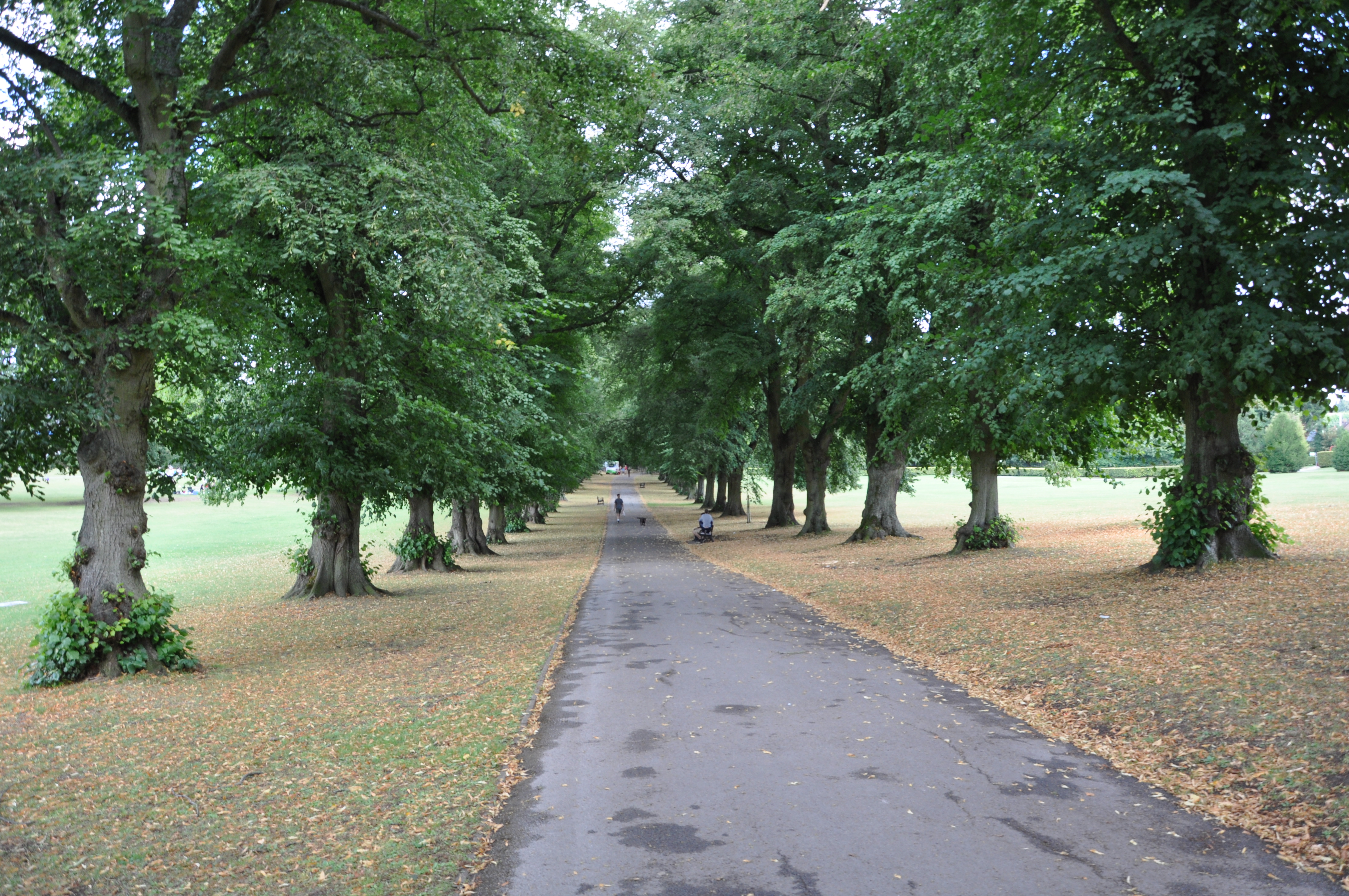 Rothamsted Park