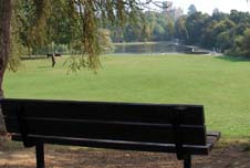 View of St Albans from park bench