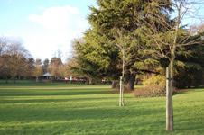 Clarence Park