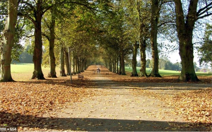 Rothamsted Park