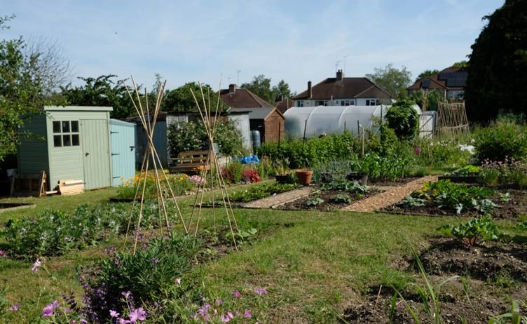 Sandridge Road allotments