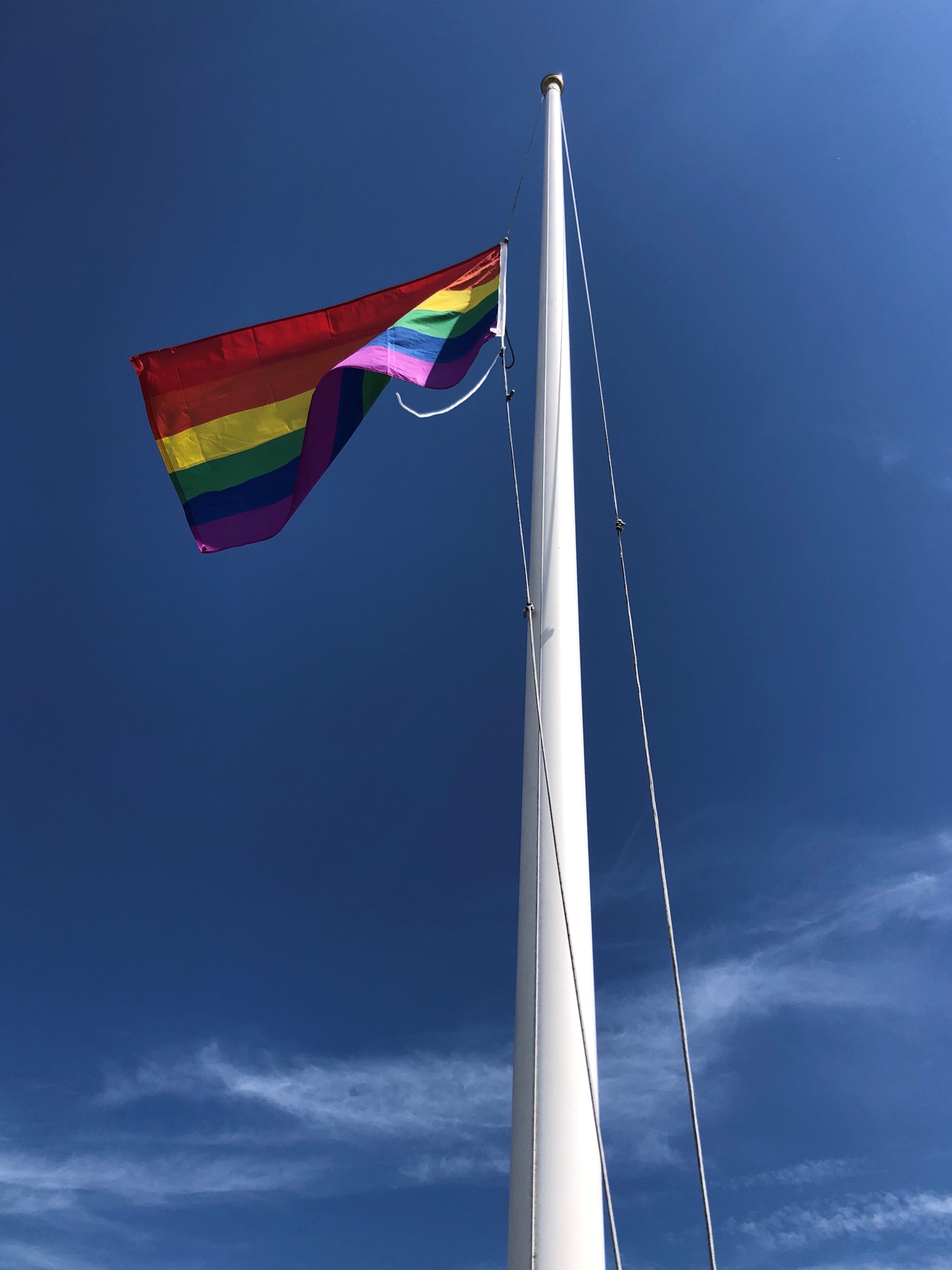 Flying the flag with Pride at St Albans Museum and Gallery