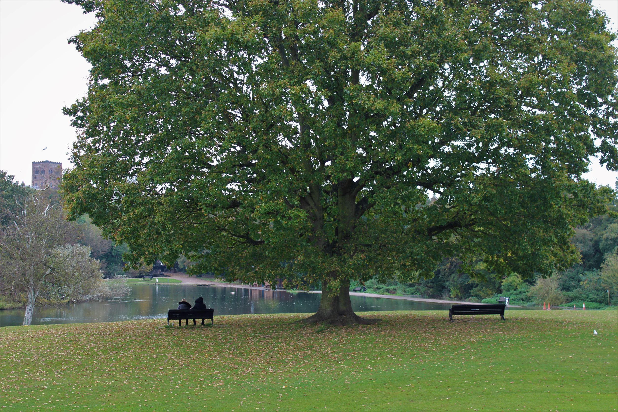 Verulamium Park