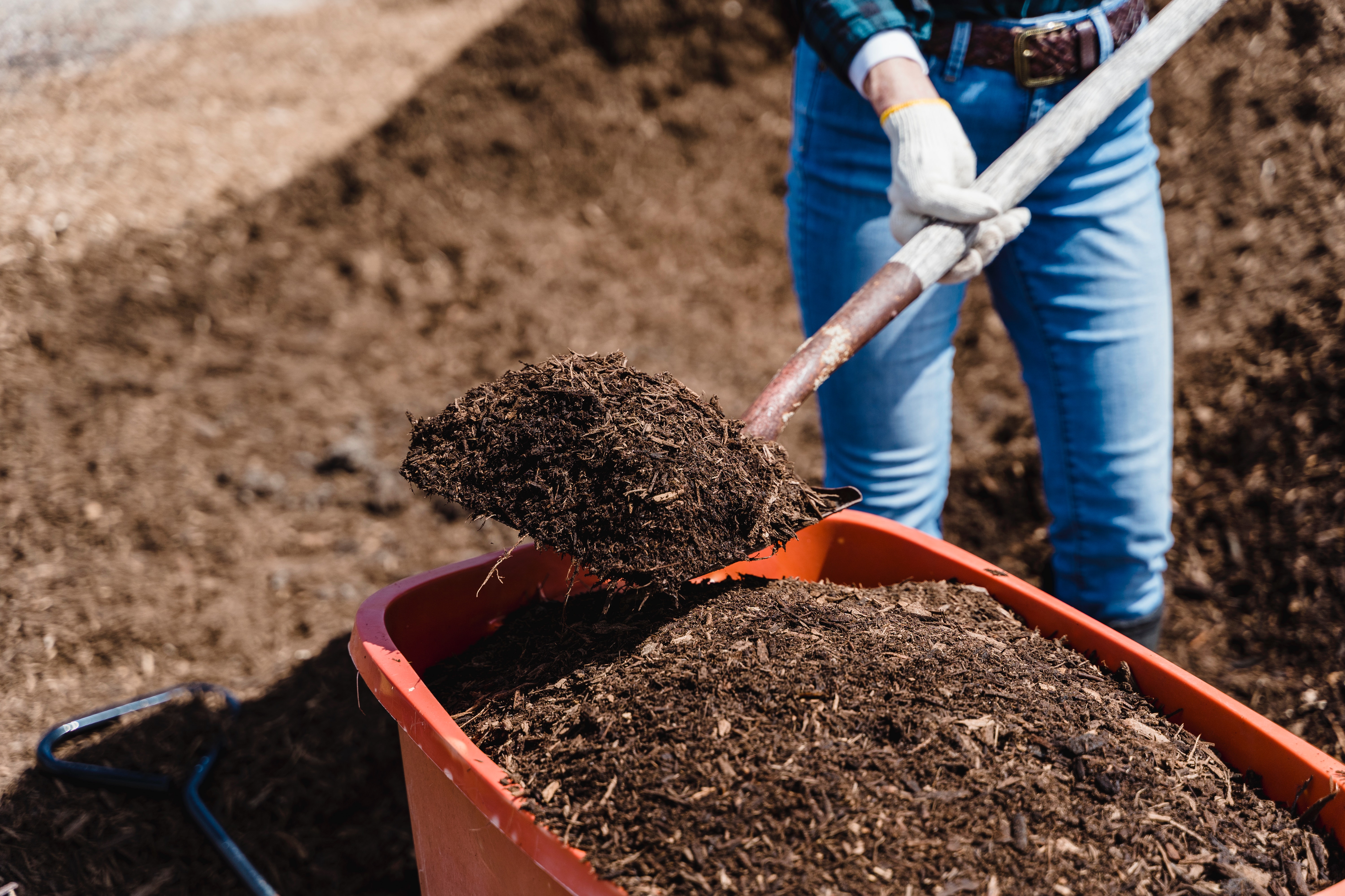 compost being collected