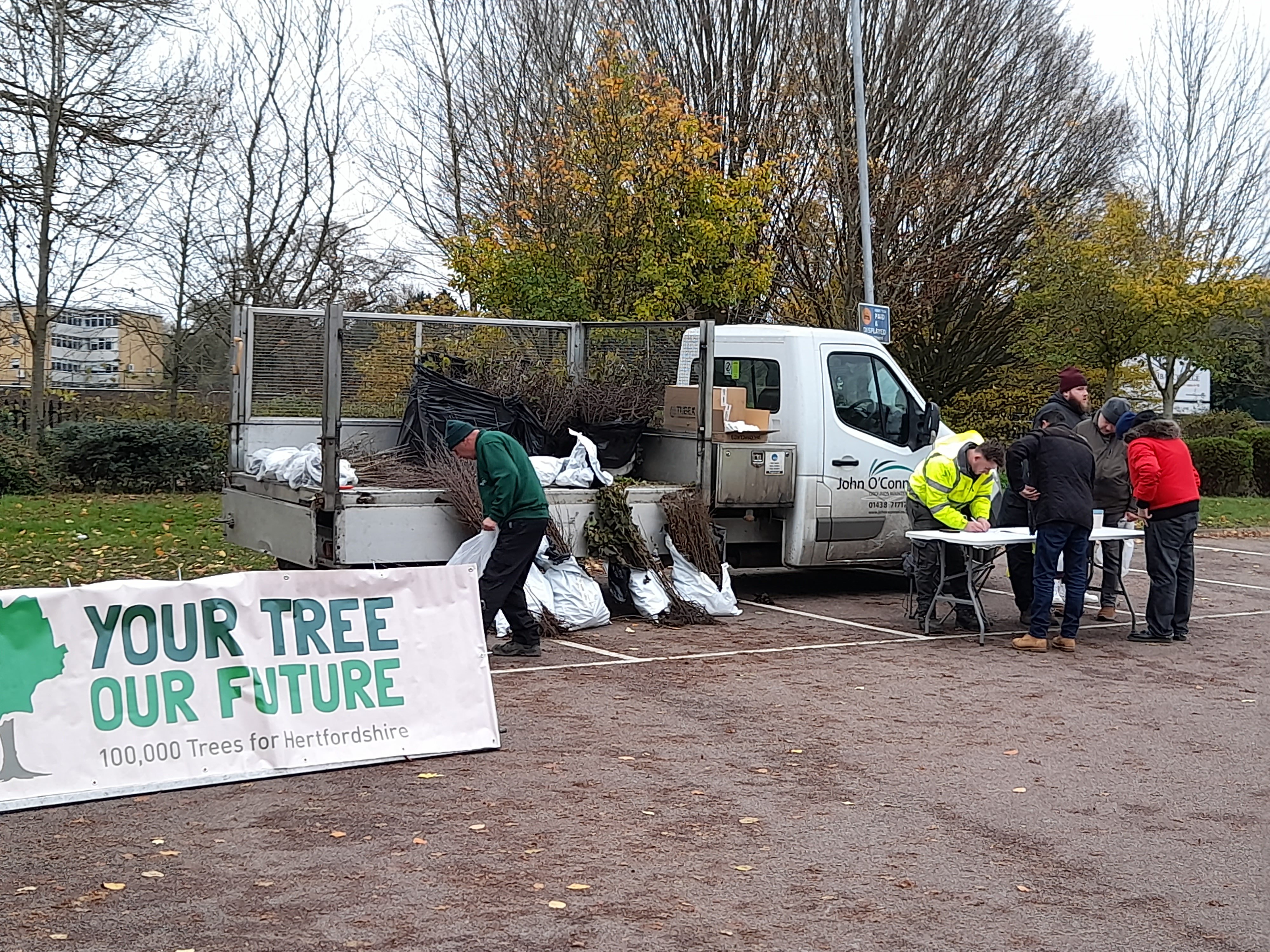 Trees being distributed at Westminster Lodge