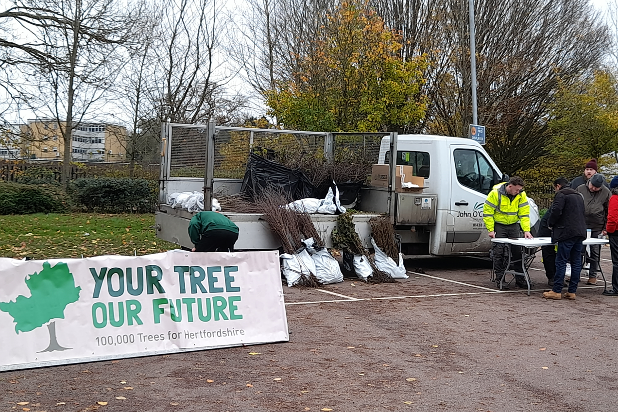 Tree giveaway in St Albans