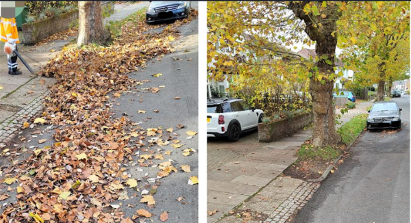 Leaf clearance in St Albans