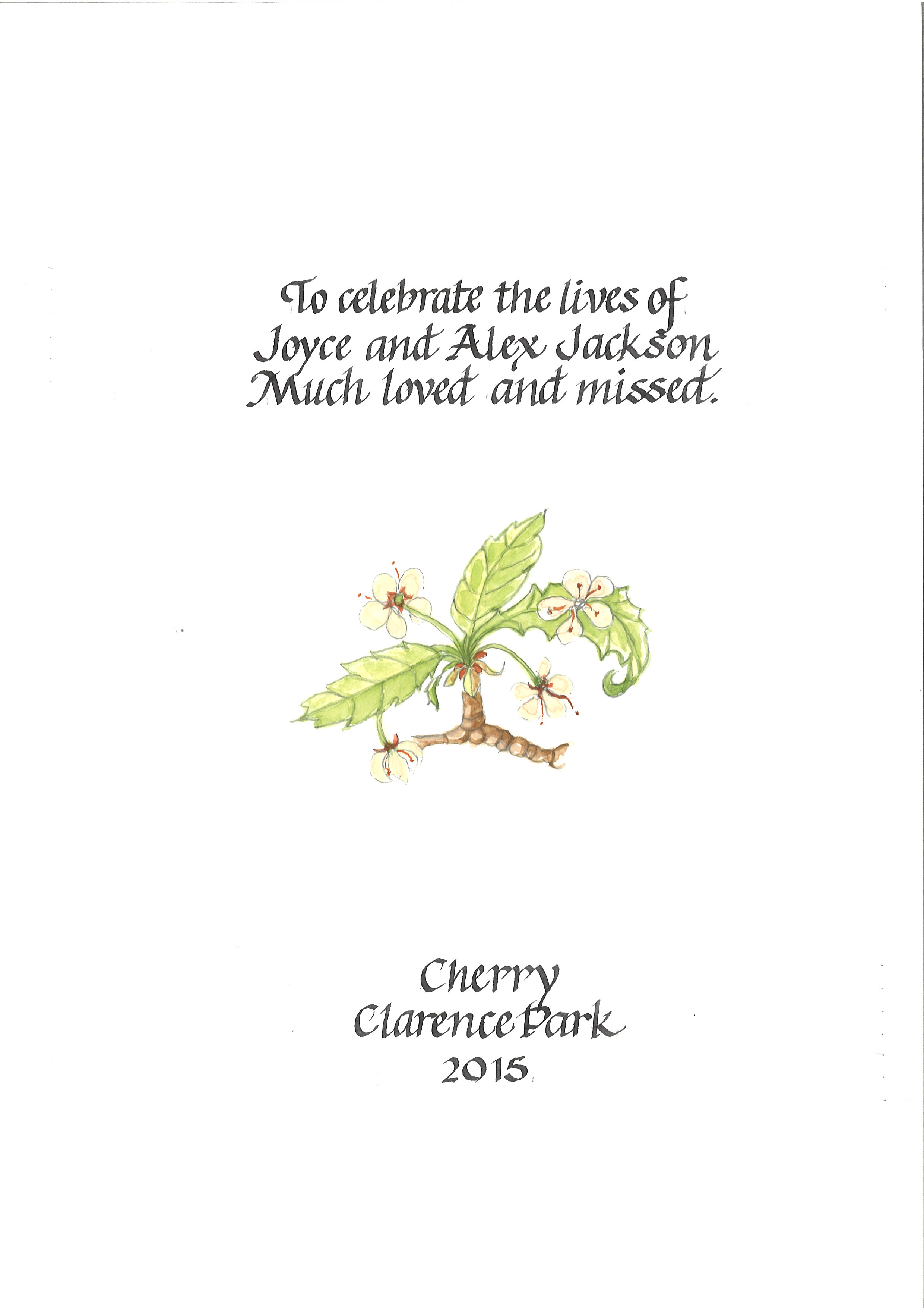 AD00059 Cherry Alex Joyce Jackson Clarence Park113