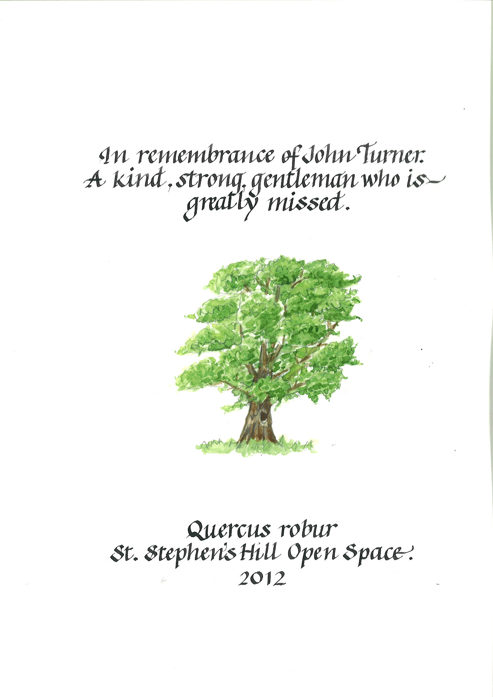 AD88 Oak John Turner St Stephens Hill-web