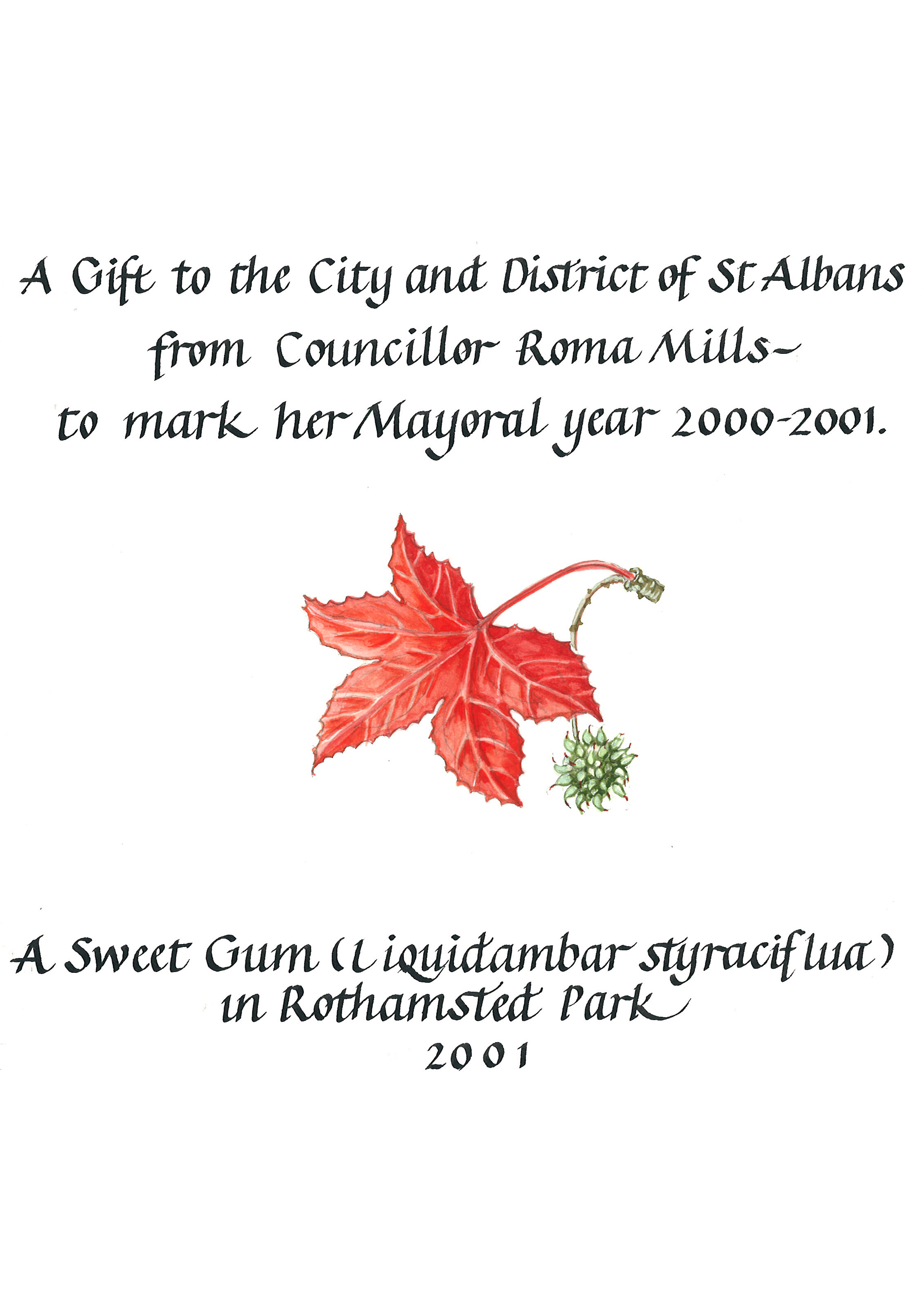 Cllr Roma Mills for her mayoral year 2000-1 - Rothamstead Park webpage 100