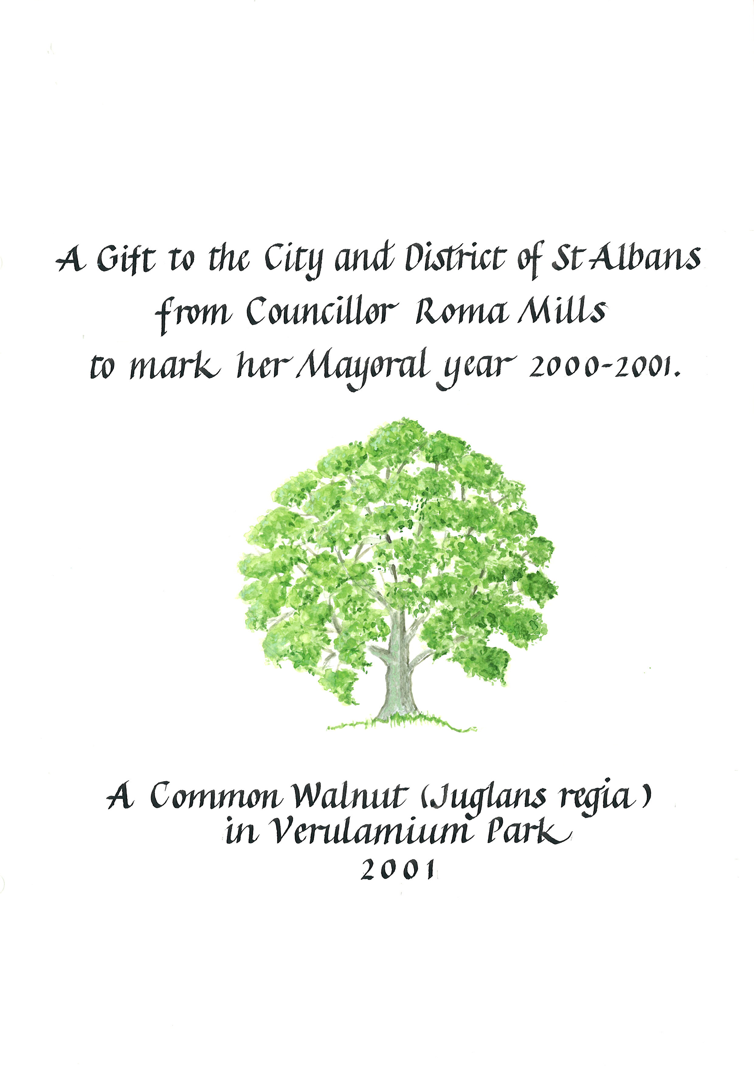 Cllr Roma Mills for her mayoral year 2000-1 - Verulamium Park webpage 100