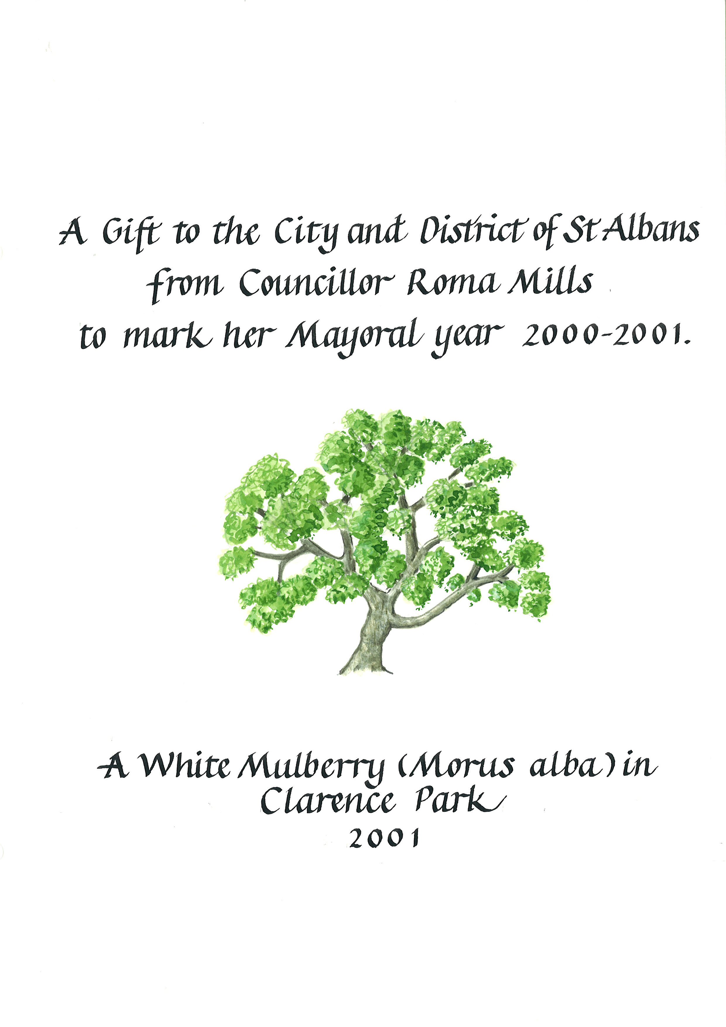 Cllr Roma Mills for her mayoral year 2000-1 -- Clarence Park webpage 100