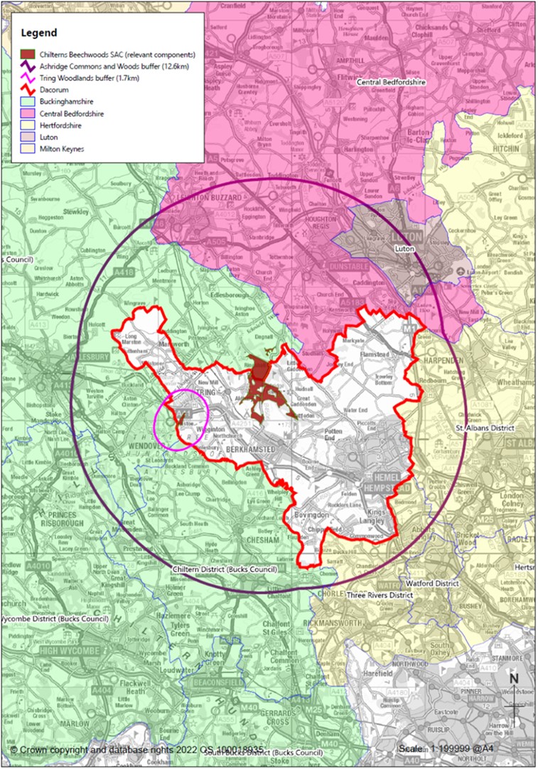 Chilterns Beechwoods SAC