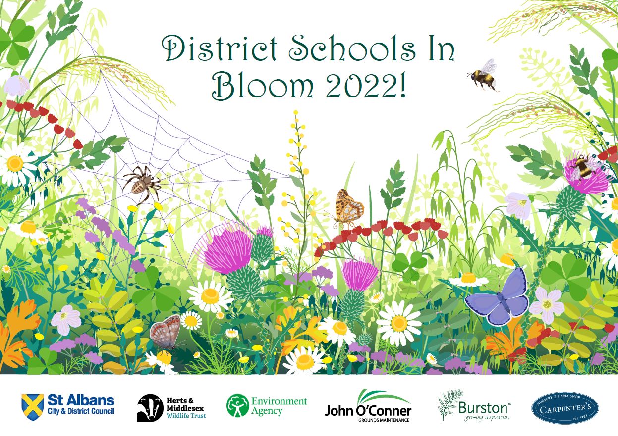 District Schools in Bloom 2022