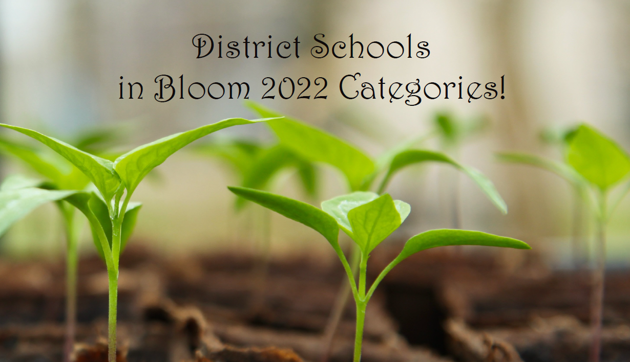 The Categories for 2022
