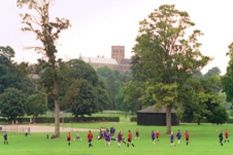 Verulamium park with cathedral in background