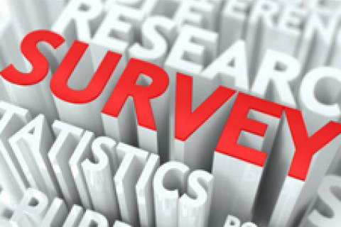 Survey logo