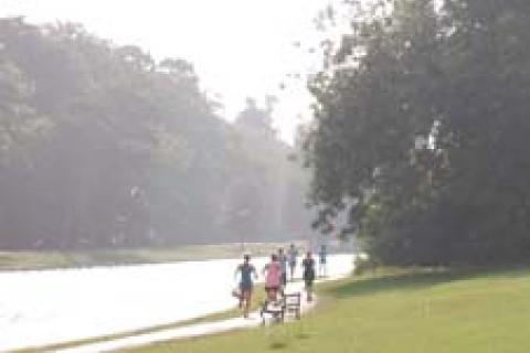 Verulamium Park Lakes