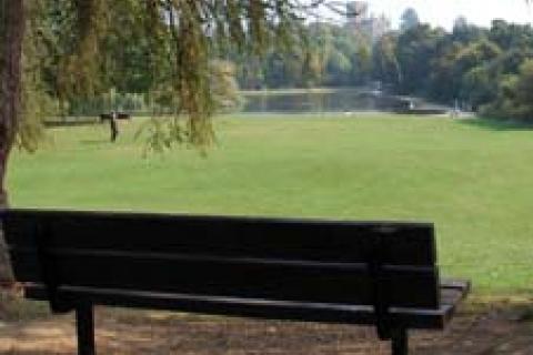 View of St Albans from park bench