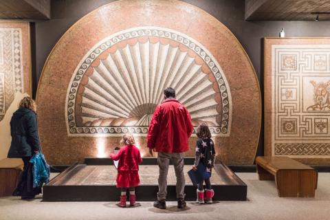 Verulamium Museum