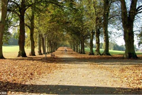 Rothamsted Park