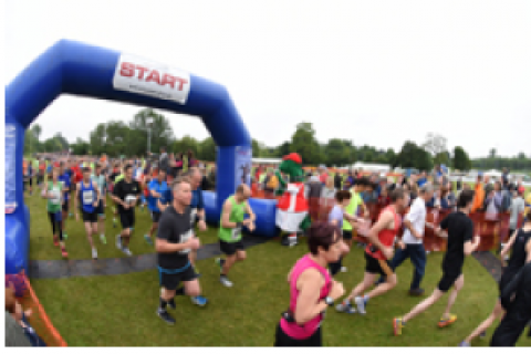 People running in a marathon