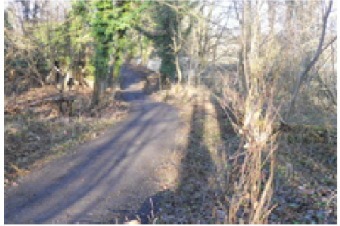 New woodland path opens