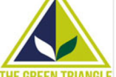 Green triangle logo - building green growth 