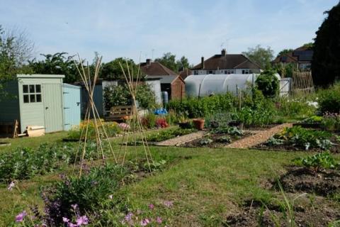 Sandridge Road allotments