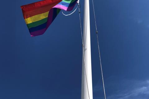 Flying the flag with Pride at St Albans Museum and Gallery