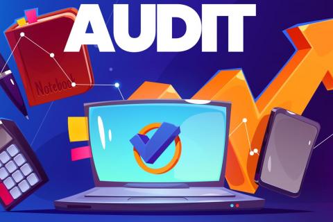 Audit logo