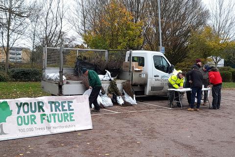 Trees being distributed at Westminster Lodge