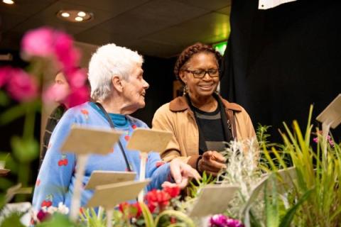 Scene from last year's International Day of Older Persons